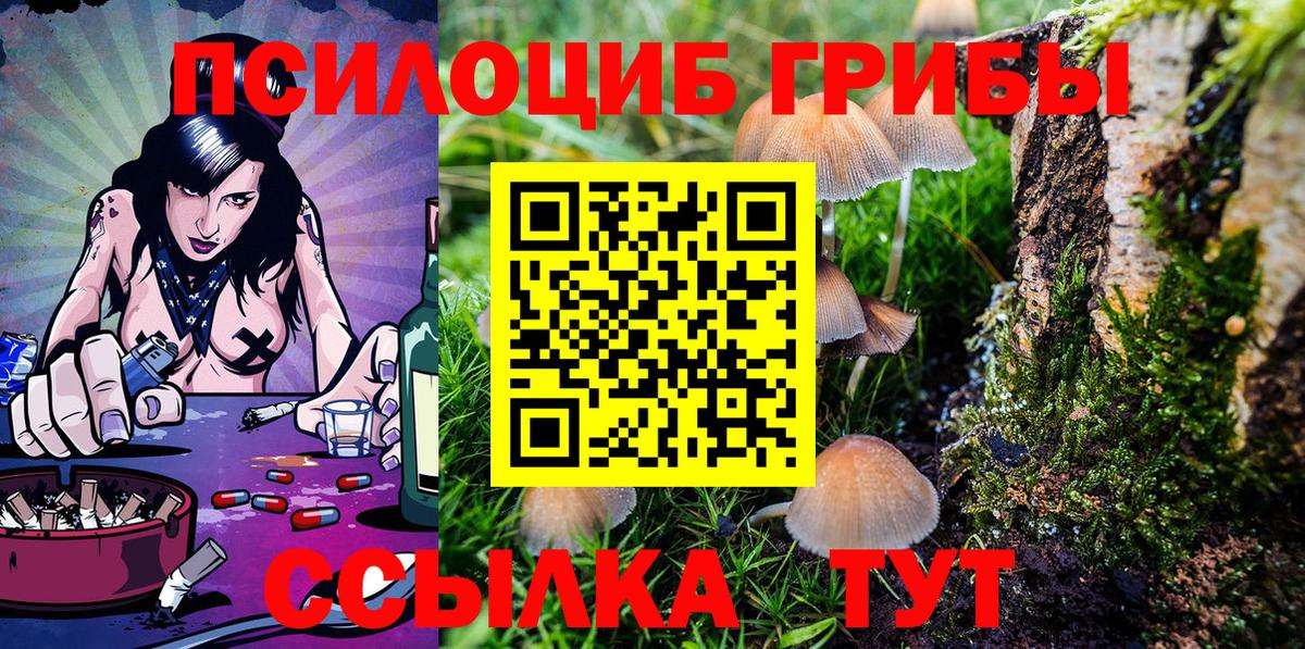 Галлюциногенные грибы Psilocybe  Вход с VPN  Псилоцибиновые грибы мицелий  Надым 
