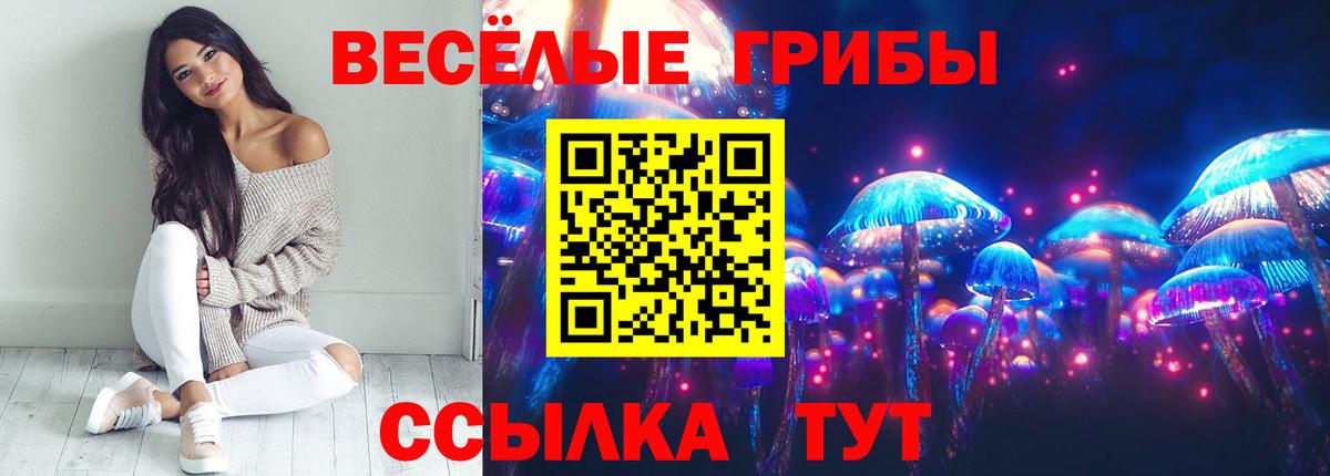 Псилоцибиновые грибы Psilocybe Надым
